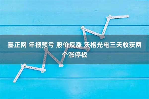嘉正网 年报预亏 股价反涨 沃格光电三天收获两个涨停板